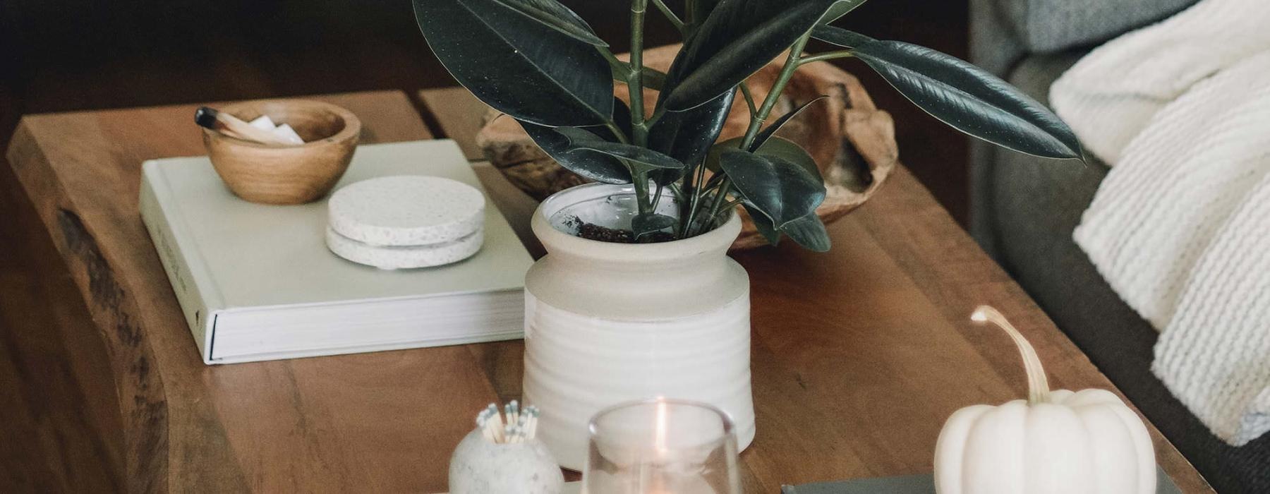 coffee table decorated with books, a potted plant, a candle and other knick-knacks